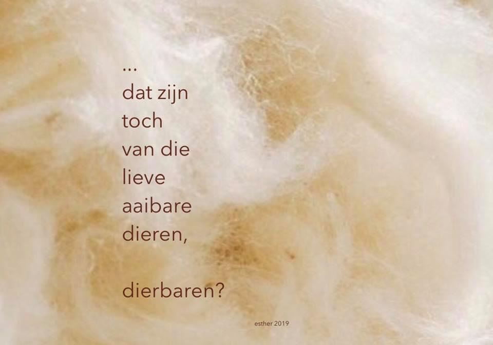 …
dat zijn
toch
van die
lieve
aaibare
dieren,

dierbaren?
