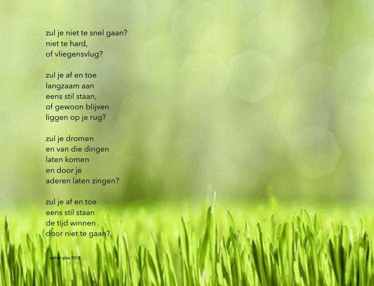 zul je niet te snel gaan?
niet te hard,
of vliegensvlug?

zul je af en toe 
langzaam aan
eens stil staan,
of gewoon blijven 
liggen op je rug?

zul je dromen
en van die dingen
laten komen
en door je 
aderen laten zingen?

zul je af en toe 
eens stil staan
de tijd winnen
door niet te gaan?
